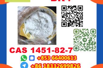 Manufacturer Supply Raw Material CAS 1451827 BK4